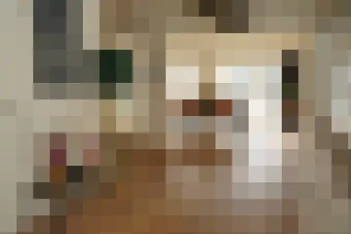 Ghistelkerke 514 Breskens thumbnail 5