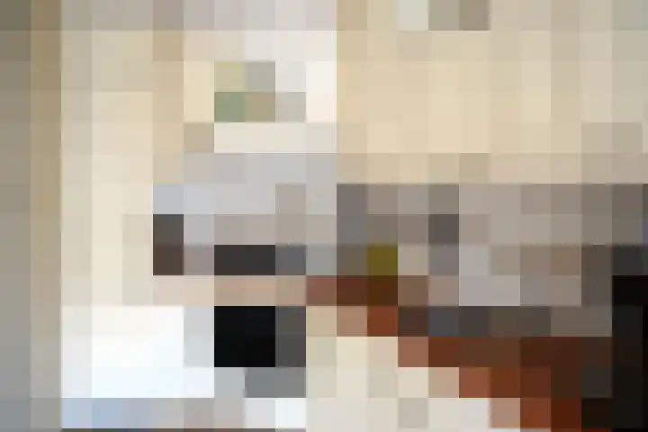 Ghistelkerke 514 Breskens thumbnail 8