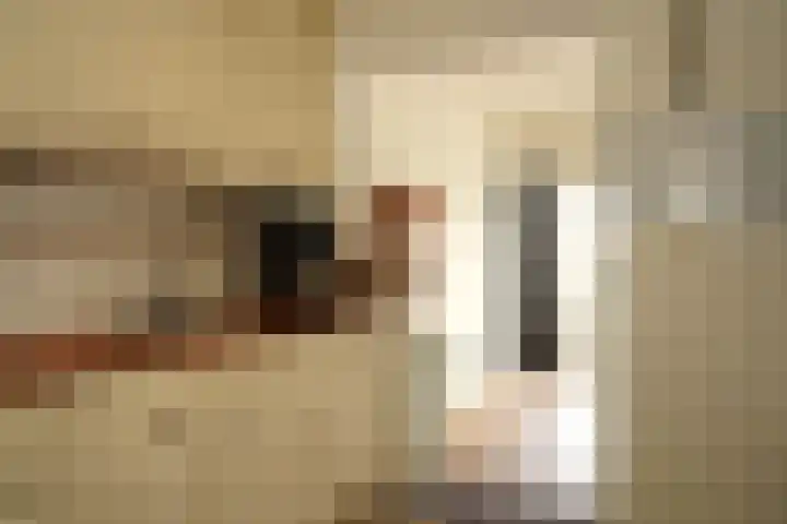 Ghistelkerke 514 Breskens thumbnail 9