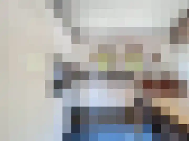 Ghistelkerke 626 Breskens thumbnail 7