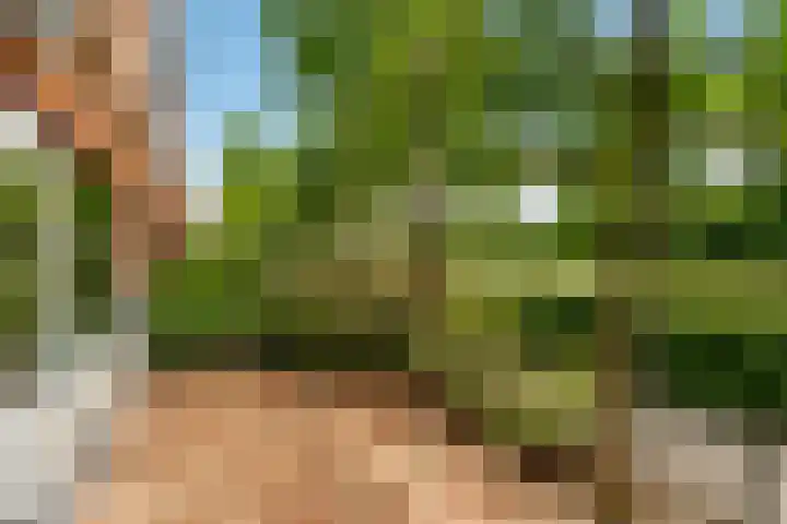 Giacomettistraat 11 Almere thumbnail 41