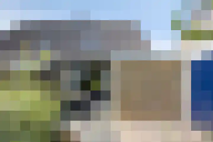 Gibbeflecht 16 Mantgum thumbnail 22
