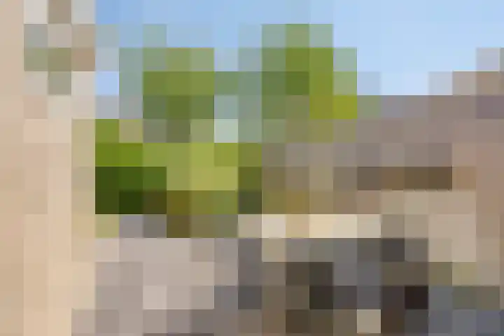 Gibbeflecht 16 Mantgum thumbnail 23