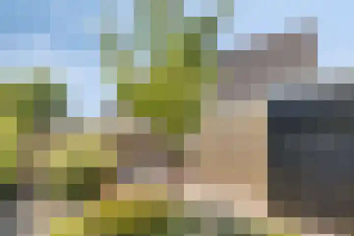 Gibbeflecht 16 Mantgum thumbnail 25