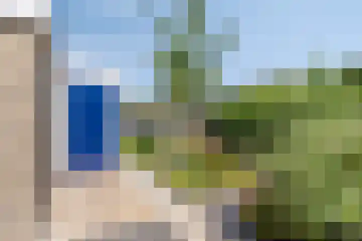 Gibbeflecht 16 Mantgum thumbnail 26