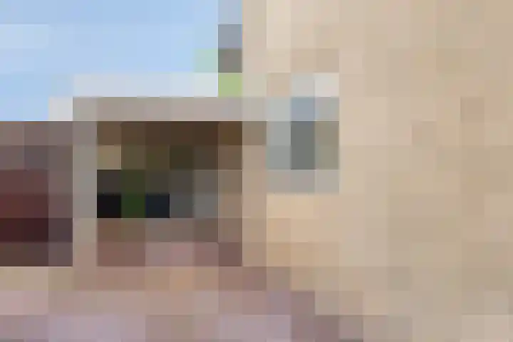 Gibbeflecht 16 Mantgum thumbnail 27