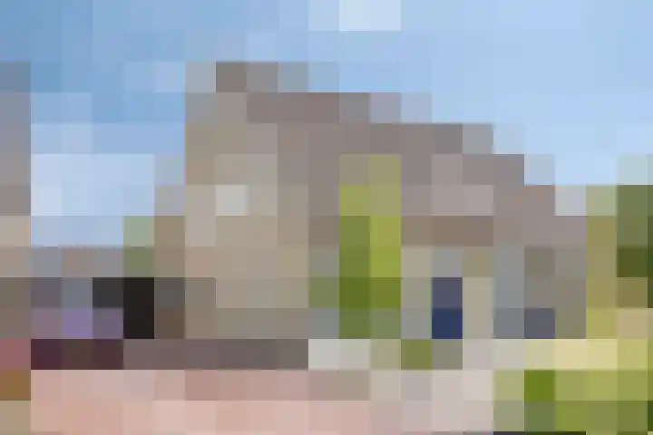Gibbeflecht 16 Mantgum thumbnail 28