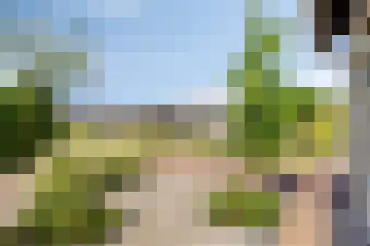 Gibbeflecht 16 Mantgum thumbnail 30