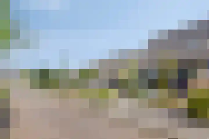 Gibbeflecht 16 Mantgum thumbnail 31