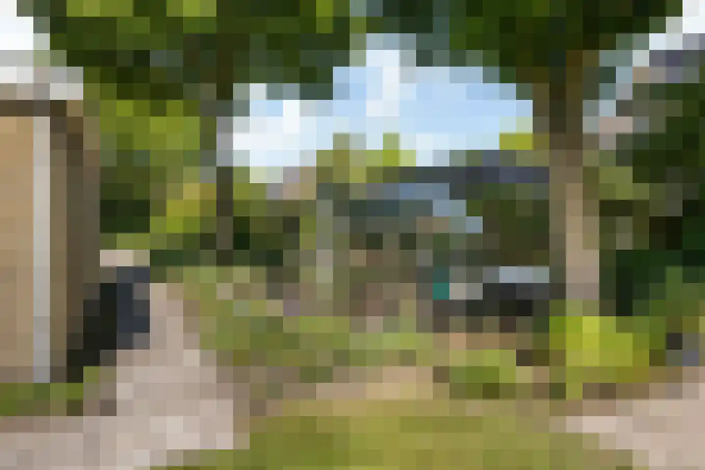 Gibbeflecht 4 Mantgum thumbnail 27