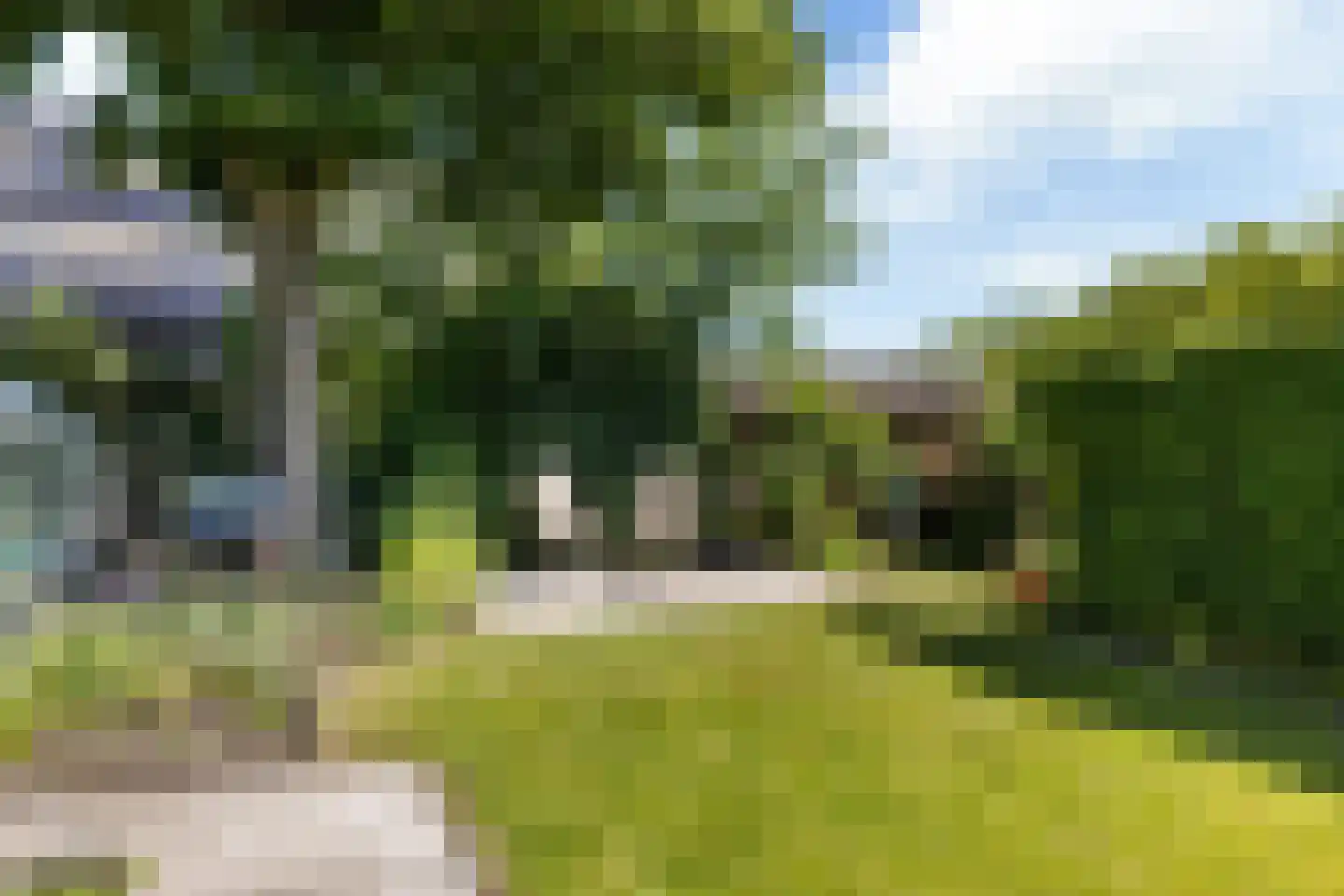 Gibbeflecht 4 Mantgum thumbnail 28