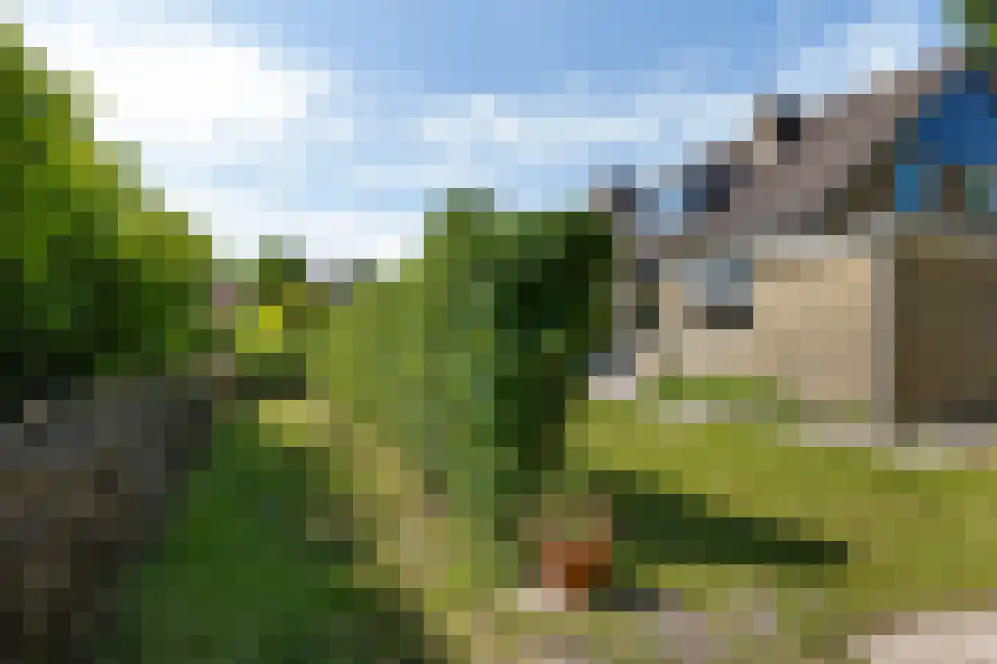 Gibbeflecht 4 Mantgum thumbnail 30