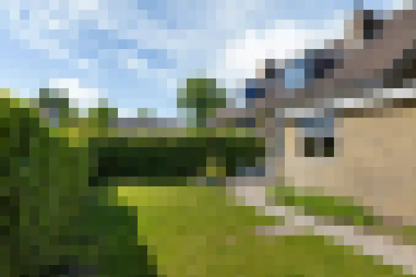 Gibbeflecht 4 Mantgum thumbnail 31