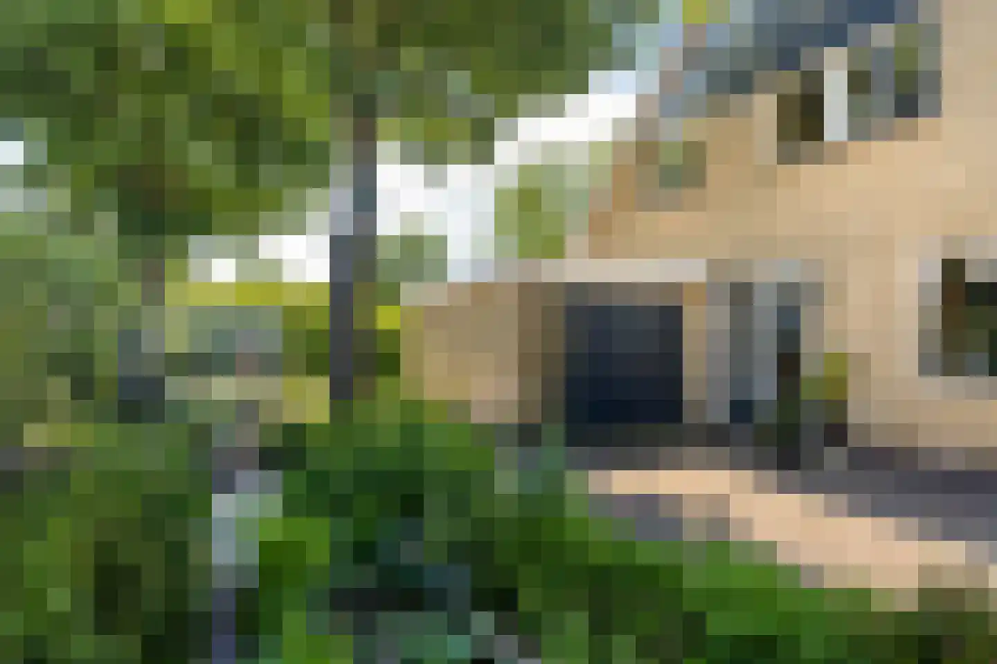 Gibbeflecht 4 Mantgum thumbnail 32