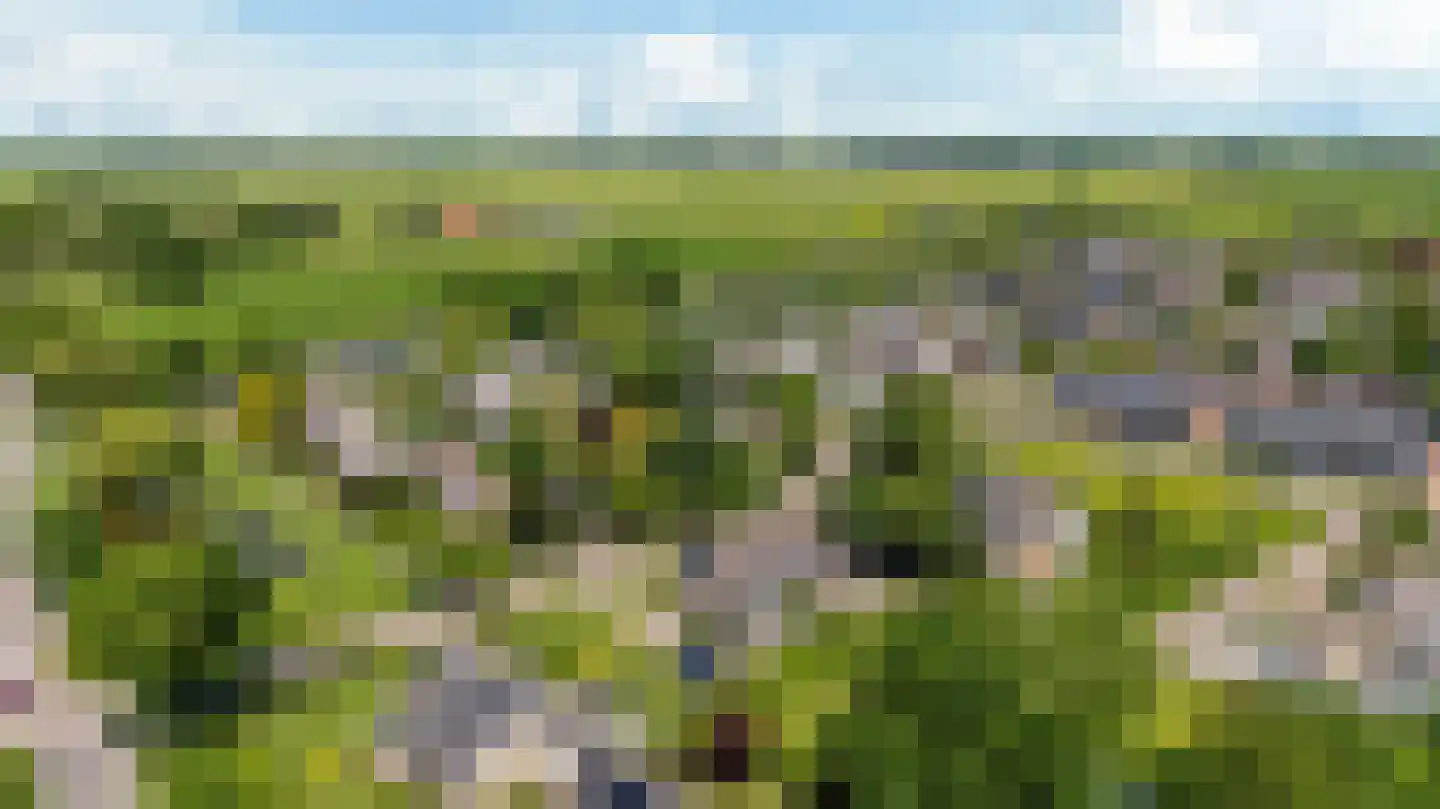 Gibbeflecht 4 Mantgum thumbnail 47