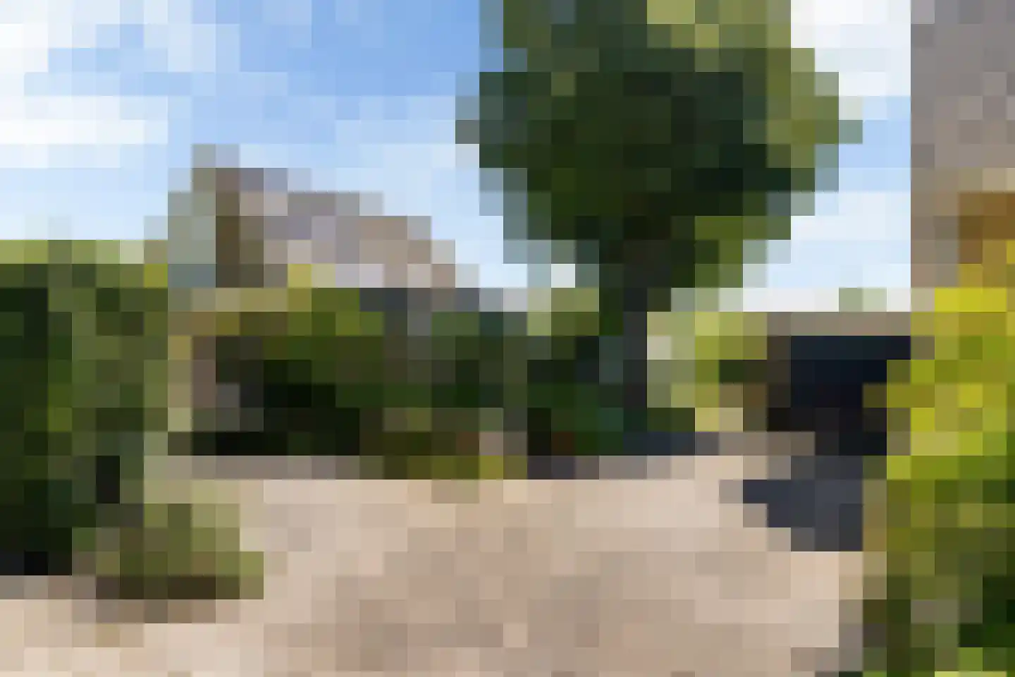Gibbeflecht 4 Mantgum thumbnail 5