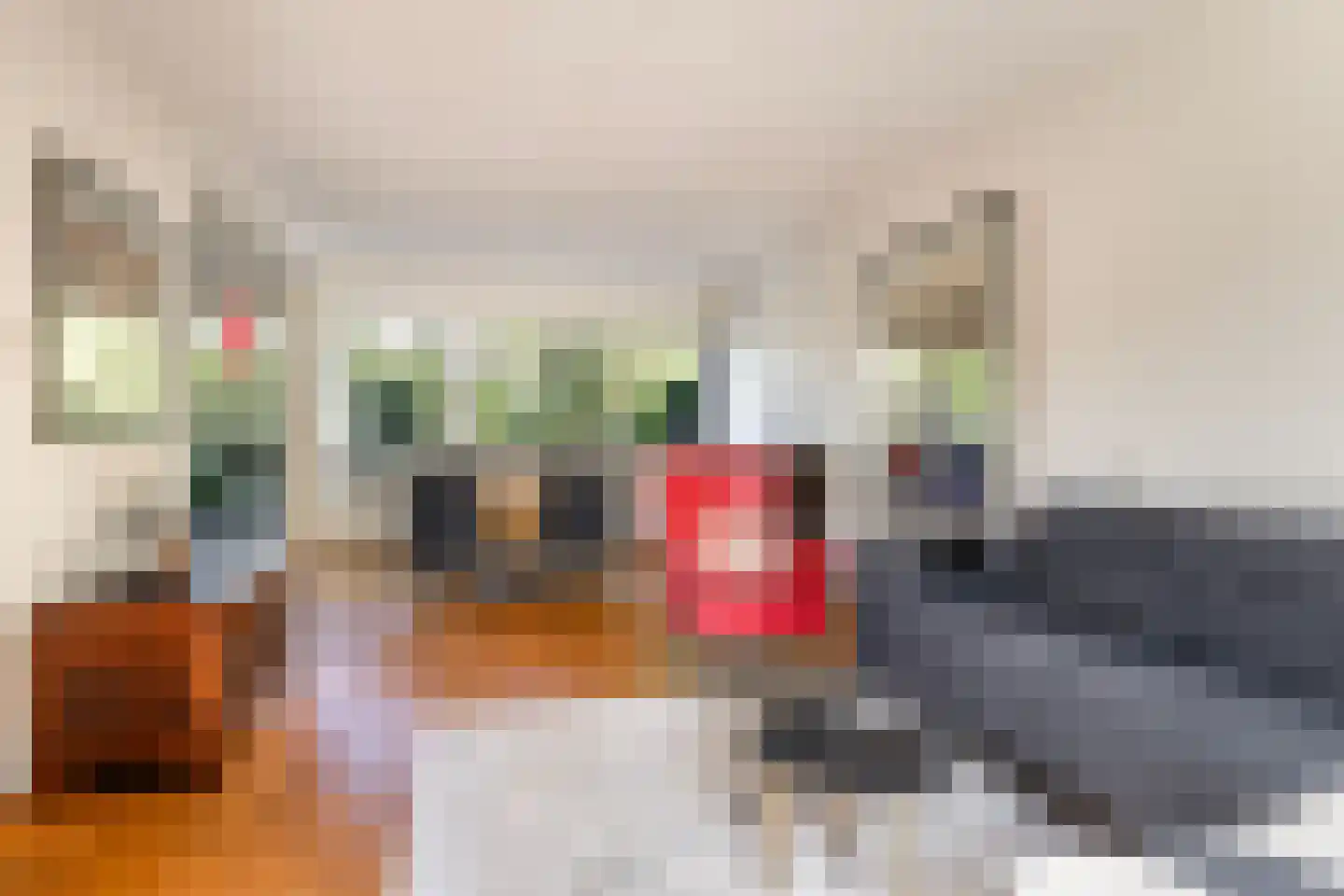 Gibbeflecht 7 Mantgum thumbnail 13