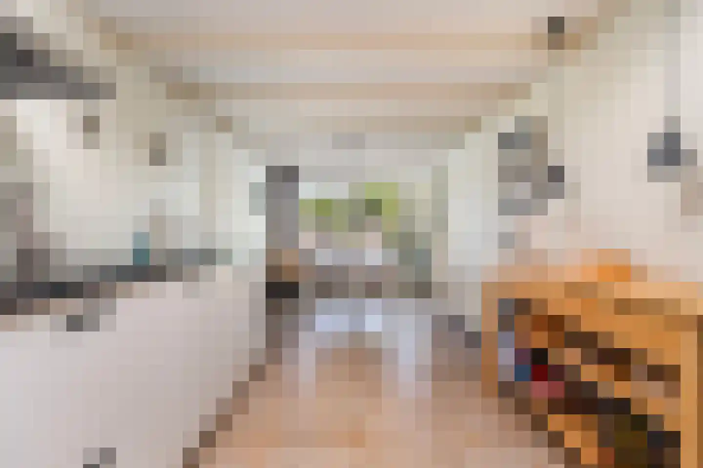 Gibbeflecht 7 Mantgum thumbnail 22