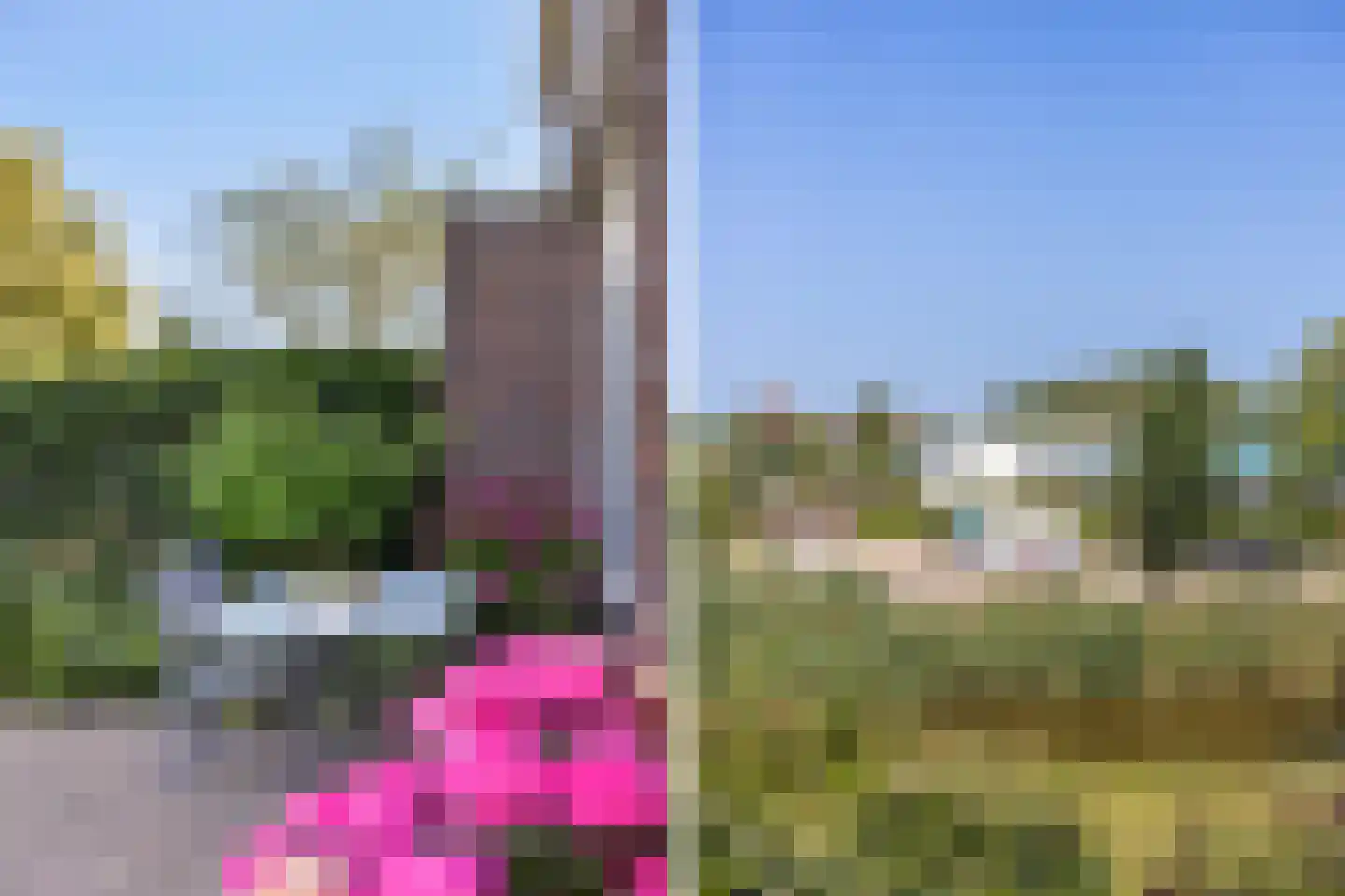 Gibbeflecht 7 Mantgum thumbnail 28