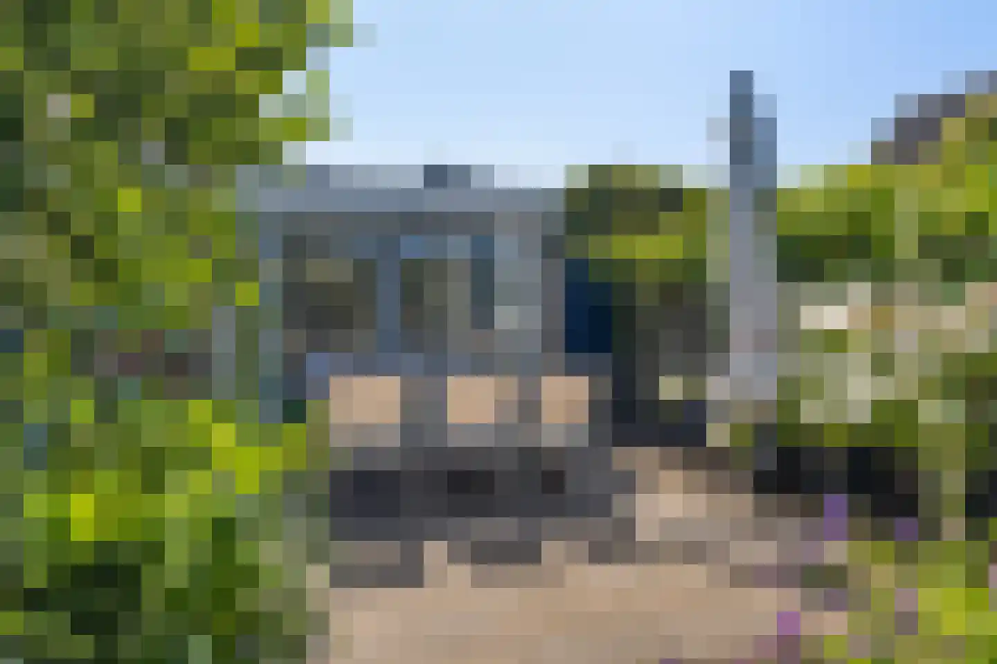 Gibbeflecht 7 Mantgum thumbnail 30