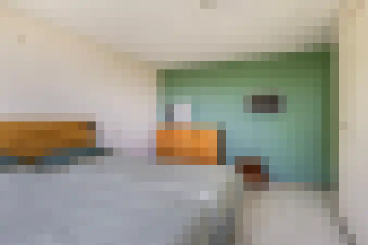 Gibbeflecht 7 Mantgum thumbnail 33