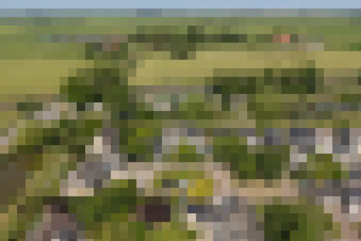 Gibbeflecht 7 Mantgum thumbnail 45