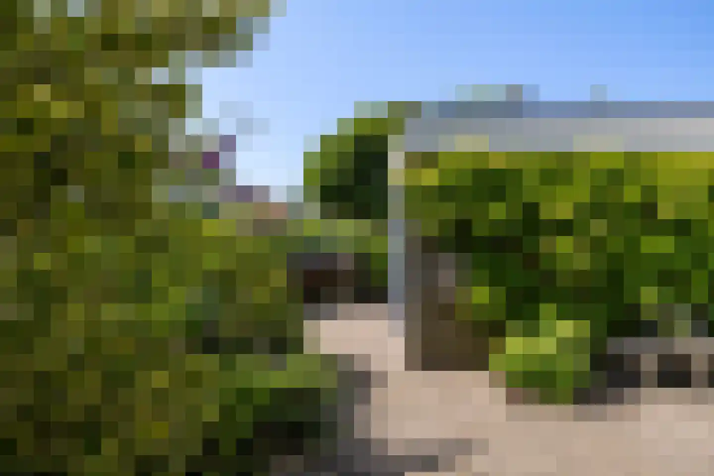 Gibbeflecht 7 Mantgum thumbnail 8