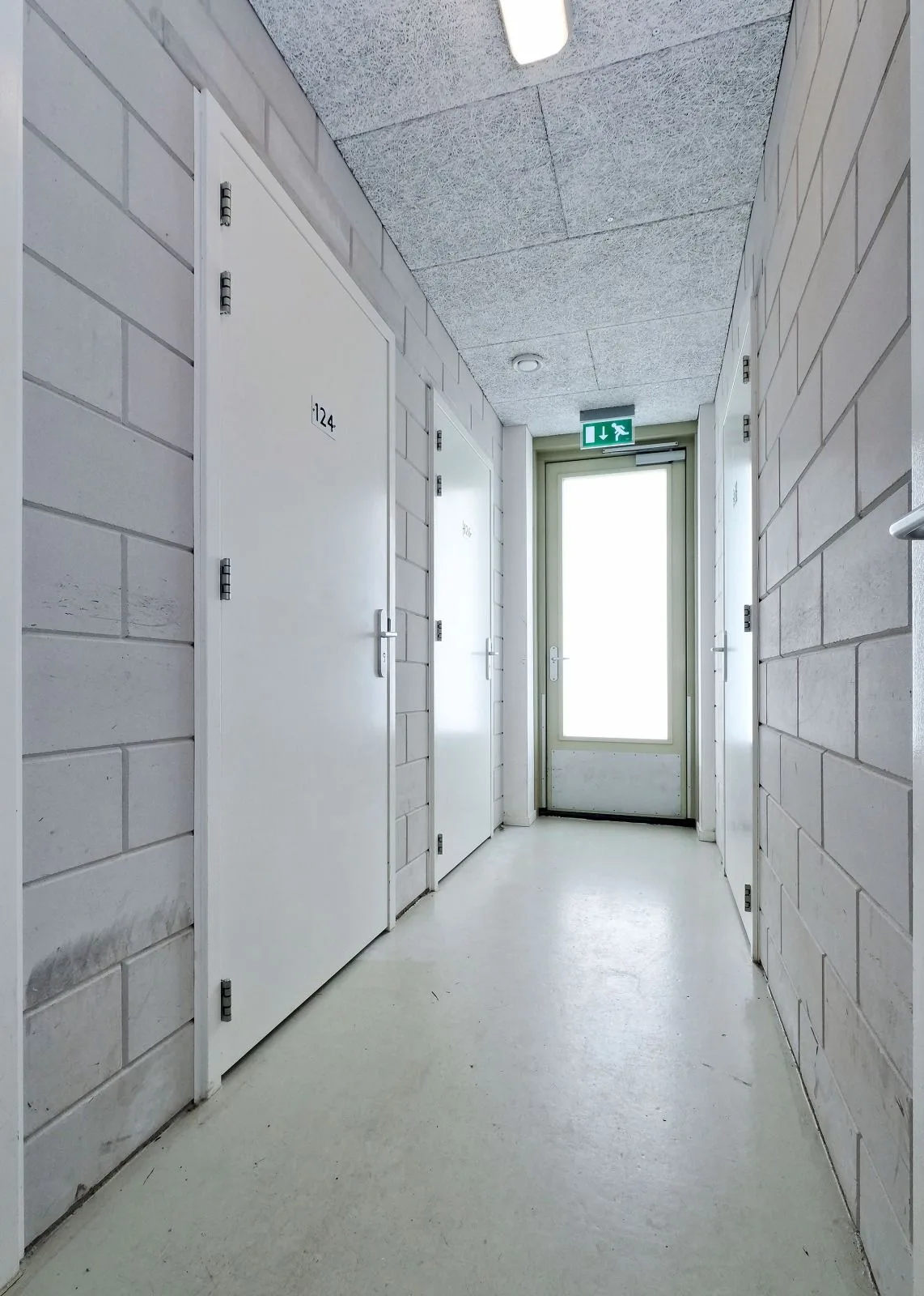 Gibbon 124 Heerhugowaard thumbnail 28