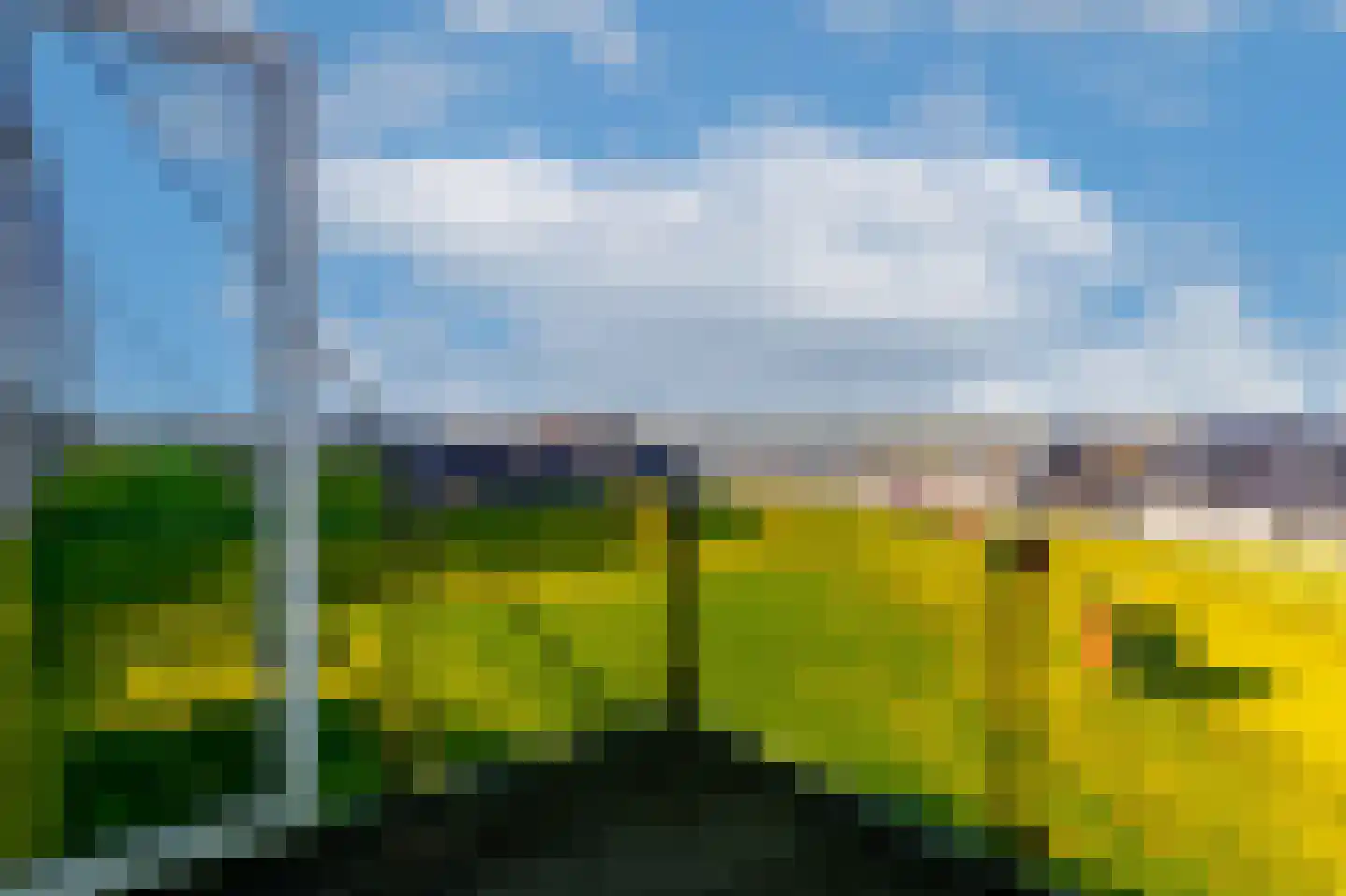 Gibbon 134 Heerhugowaard thumbnail 18