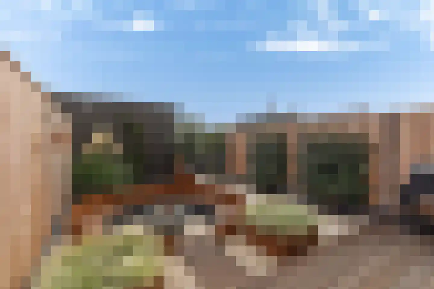 Gibbon 35 Heerhugowaard thumbnail 44