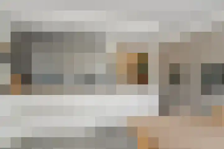Gibbon 7 Heerhugowaard thumbnail 22