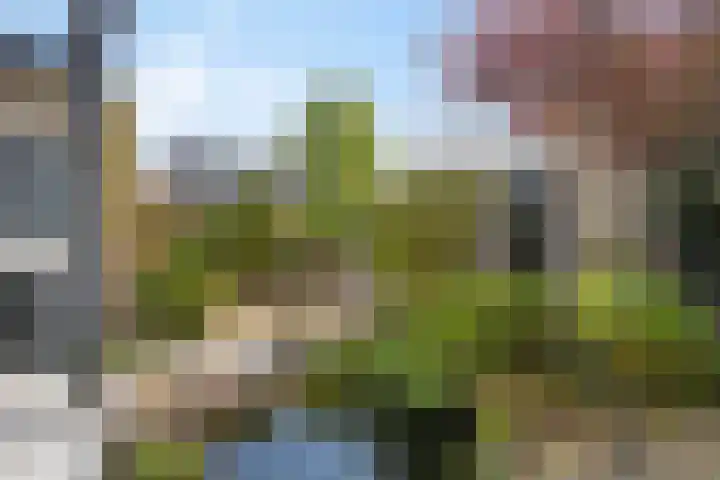 Gibbon 7 Heerhugowaard thumbnail 47