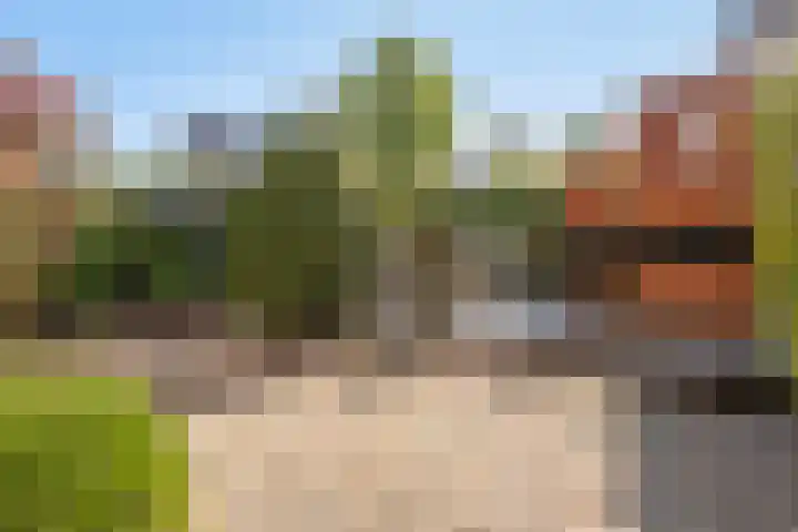 Gibbon 7 Heerhugowaard thumbnail 48