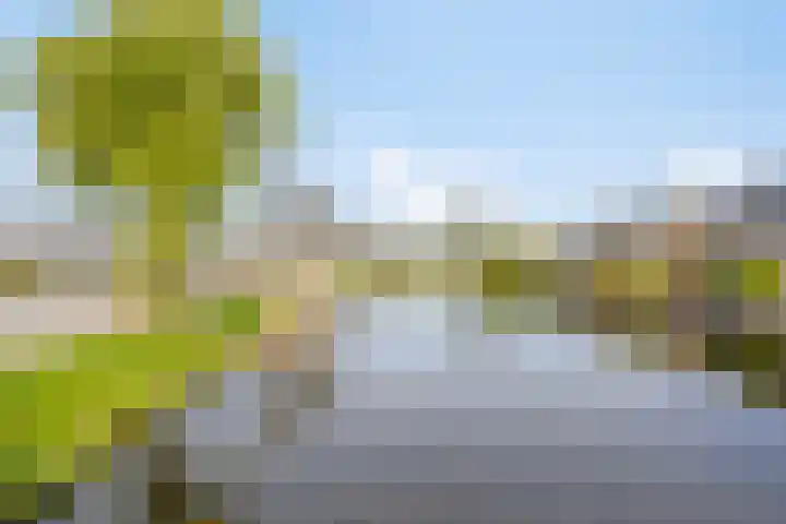 Gibbon 7 Heerhugowaard thumbnail 57