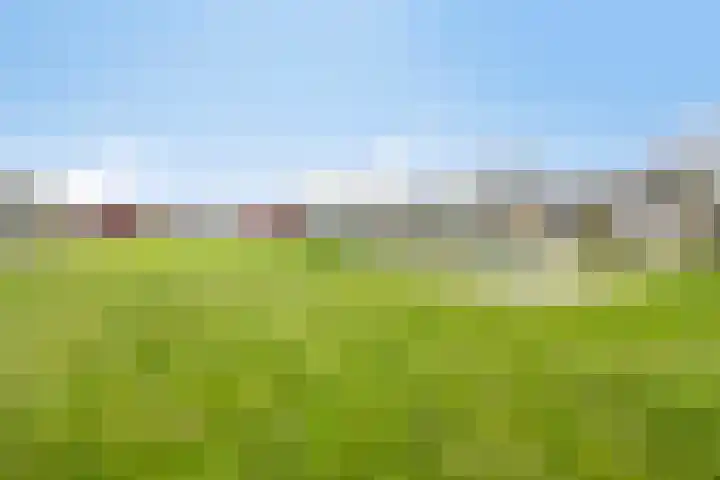Gibbon 7 Heerhugowaard thumbnail 58