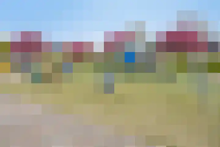 Gibbon 7 Heerhugowaard thumbnail 59