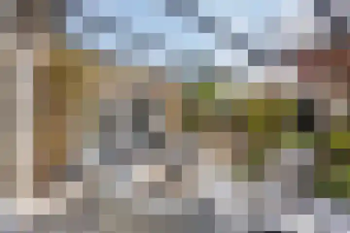Gibbon 7 Heerhugowaard thumbnail 6
