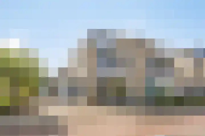 Gibbon 7 Heerhugowaard thumbnail 7