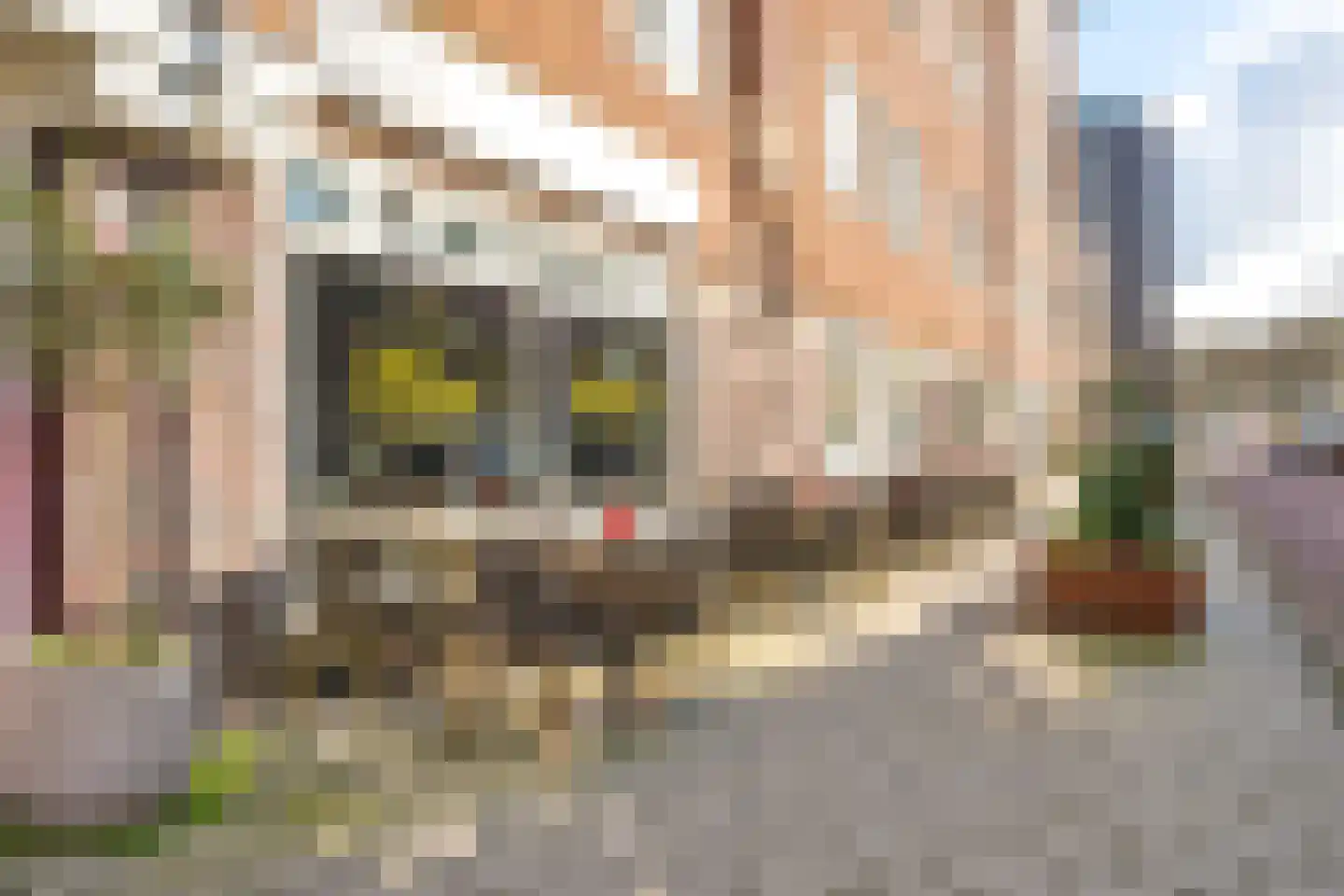 Gibraltarstraat 72 H Amsterdam thumbnail 29