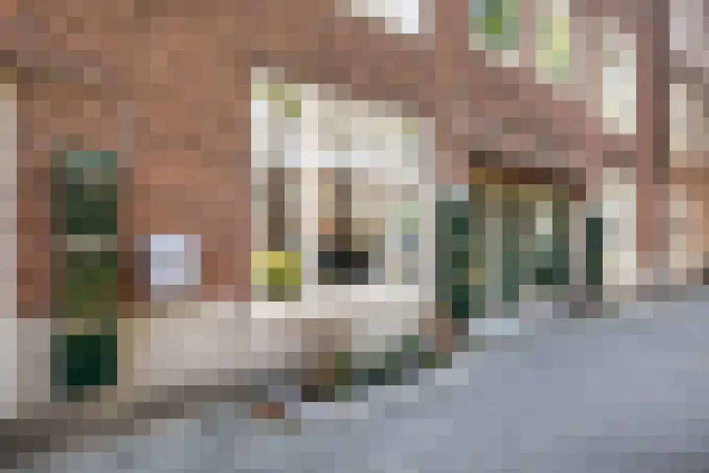 Gibraltarstraat 86 H Amsterdam thumbnail 17