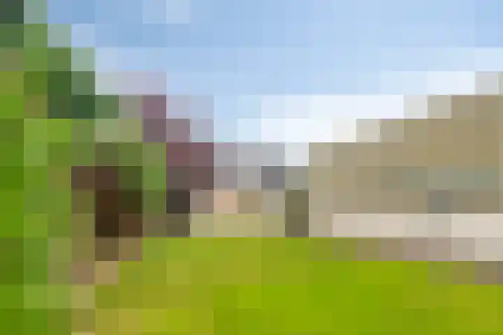 Gibsonstraat 10 Steenbergen thumbnail 39