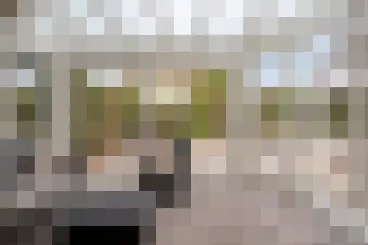 Gibsonstraat 10 Steenbergen thumbnail 5