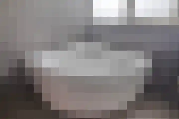Gibsonstraat 16 Steenbergen thumbnail 34