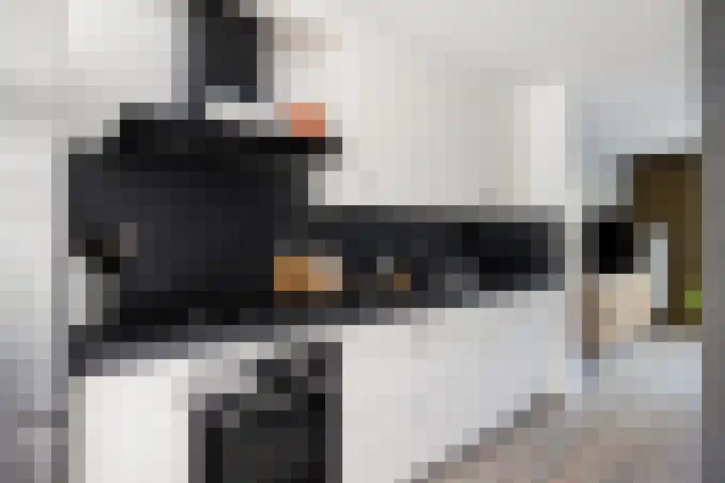 Giebelhof 2 Papendrecht thumbnail 13