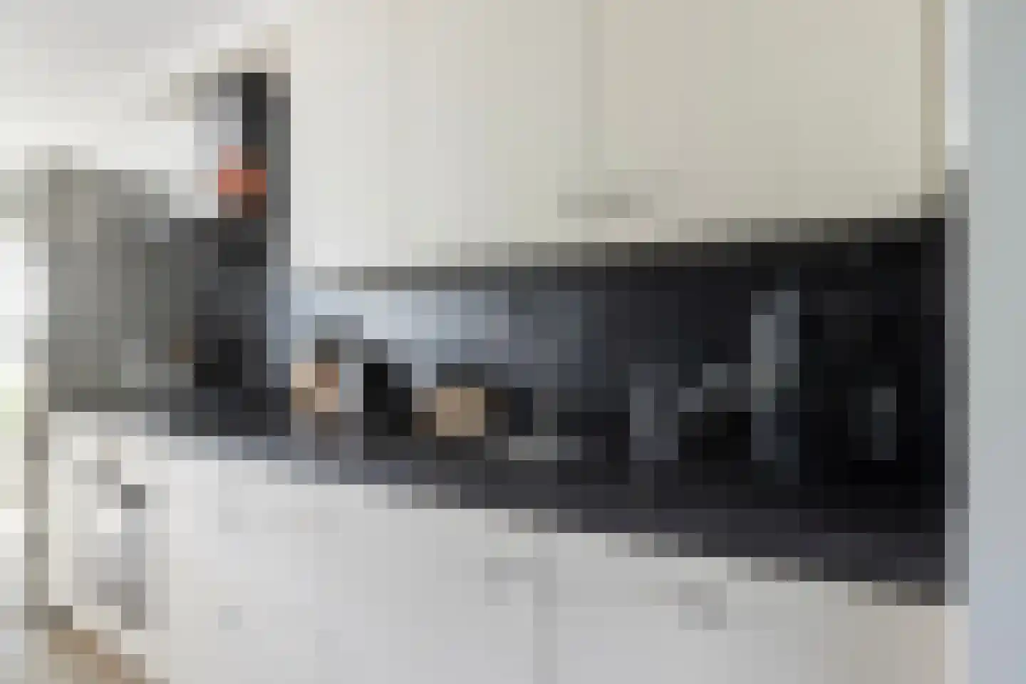 Giebelhof 2 Papendrecht thumbnail 14
