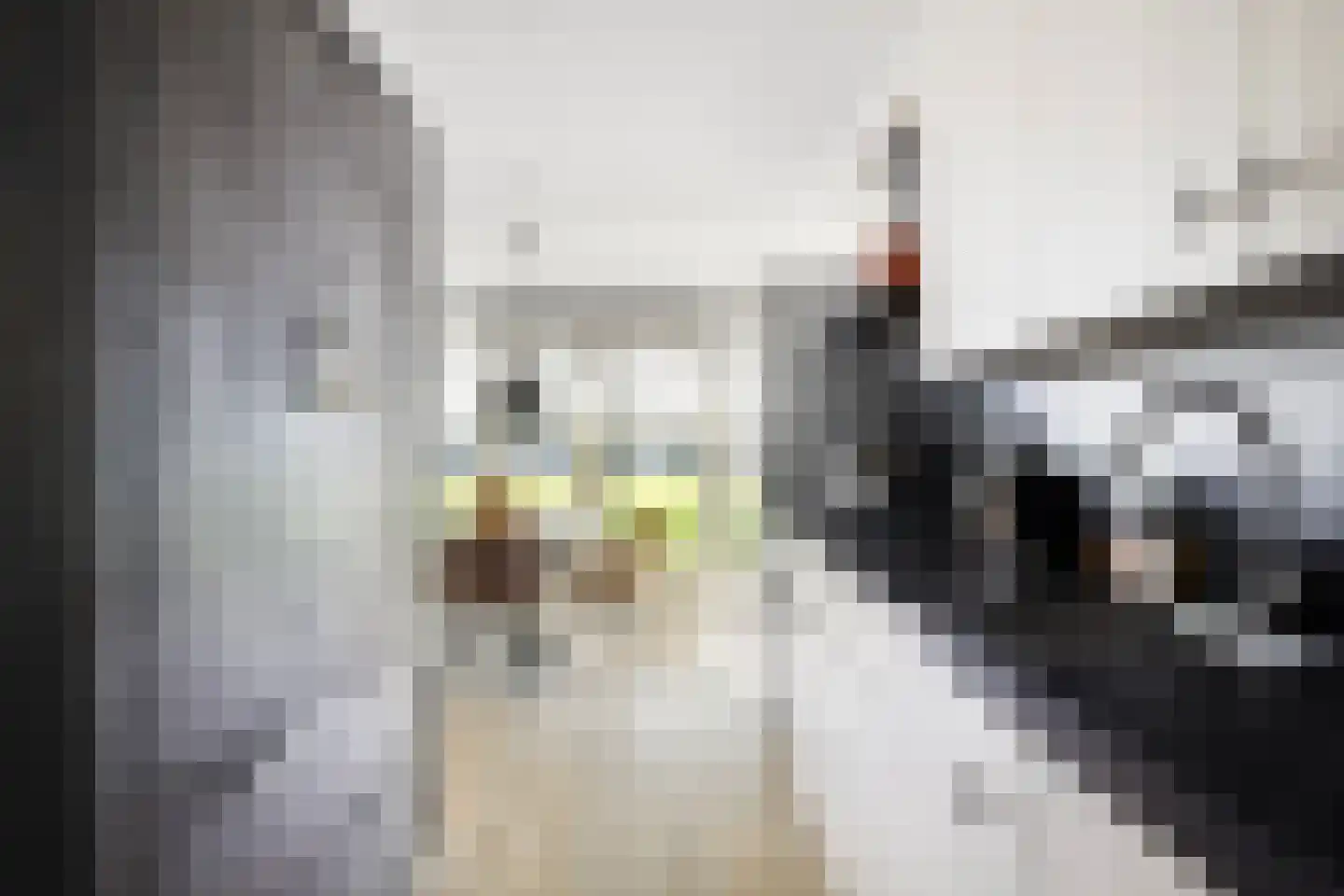 Giebelhof 2 Papendrecht thumbnail 15