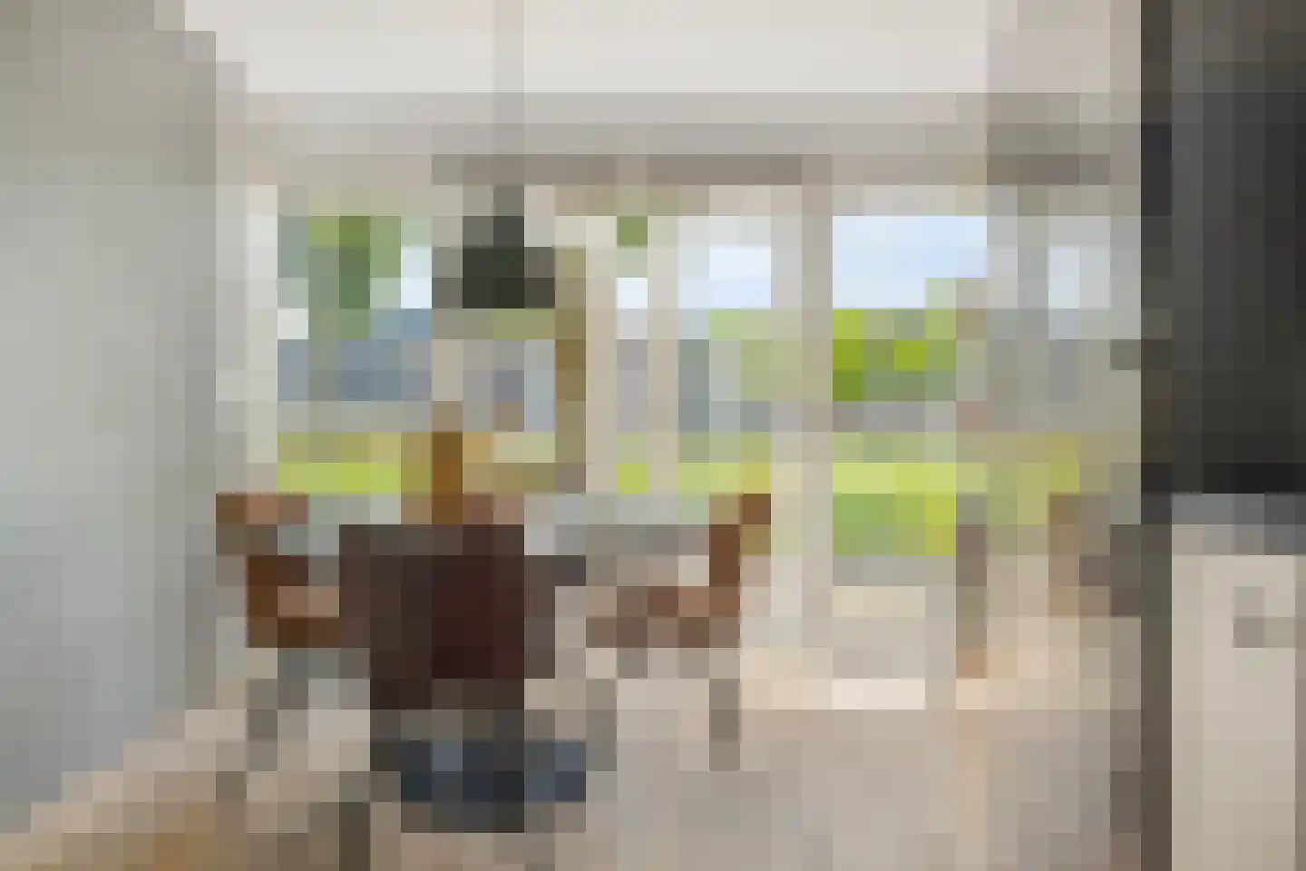 Giebelhof 2 Papendrecht thumbnail 17