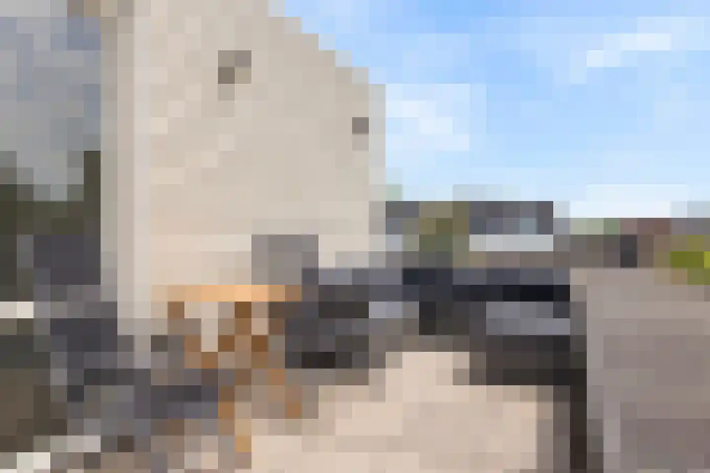 Giebelhof 2 Papendrecht thumbnail 32