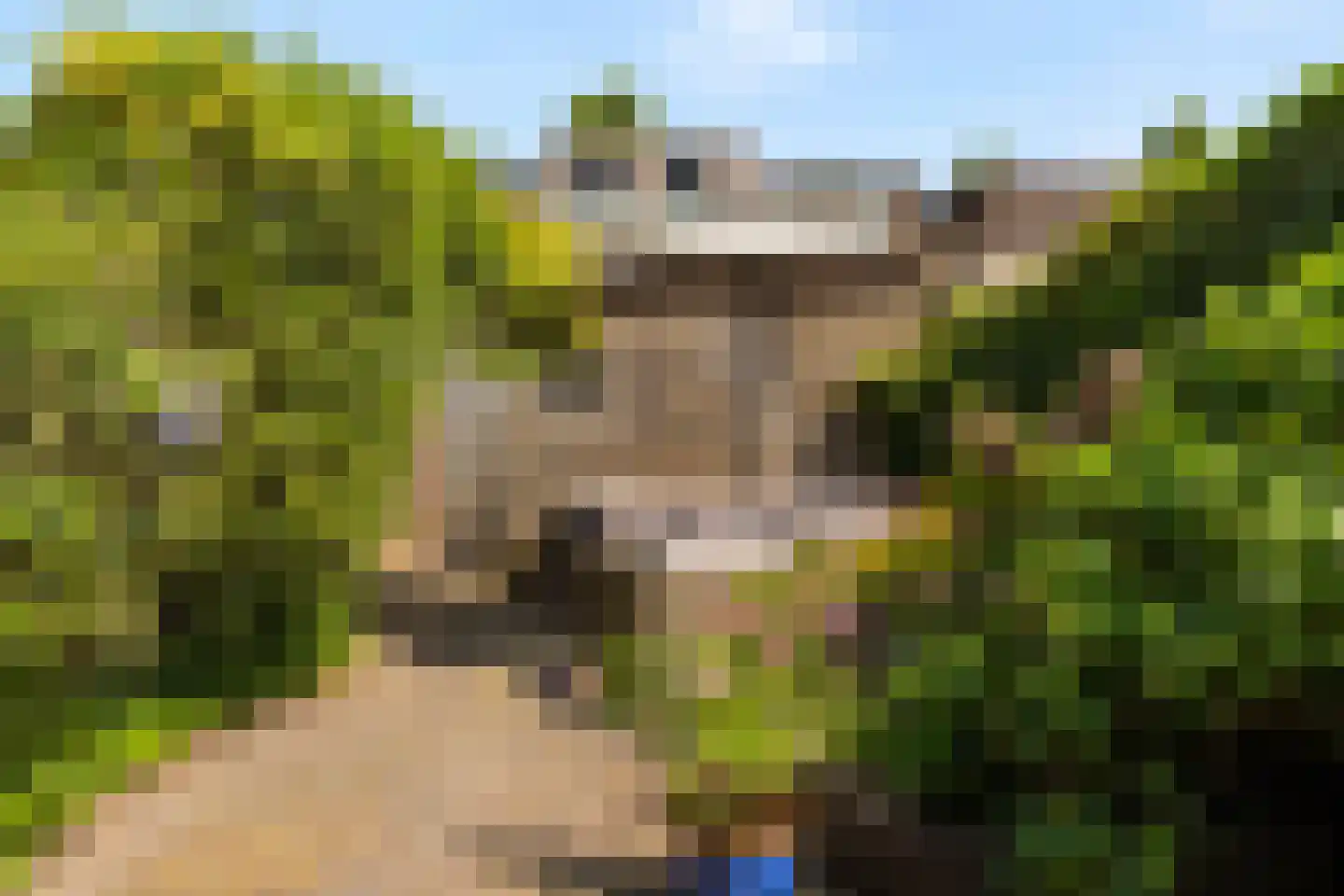 Giebelhof 2 Papendrecht thumbnail 35