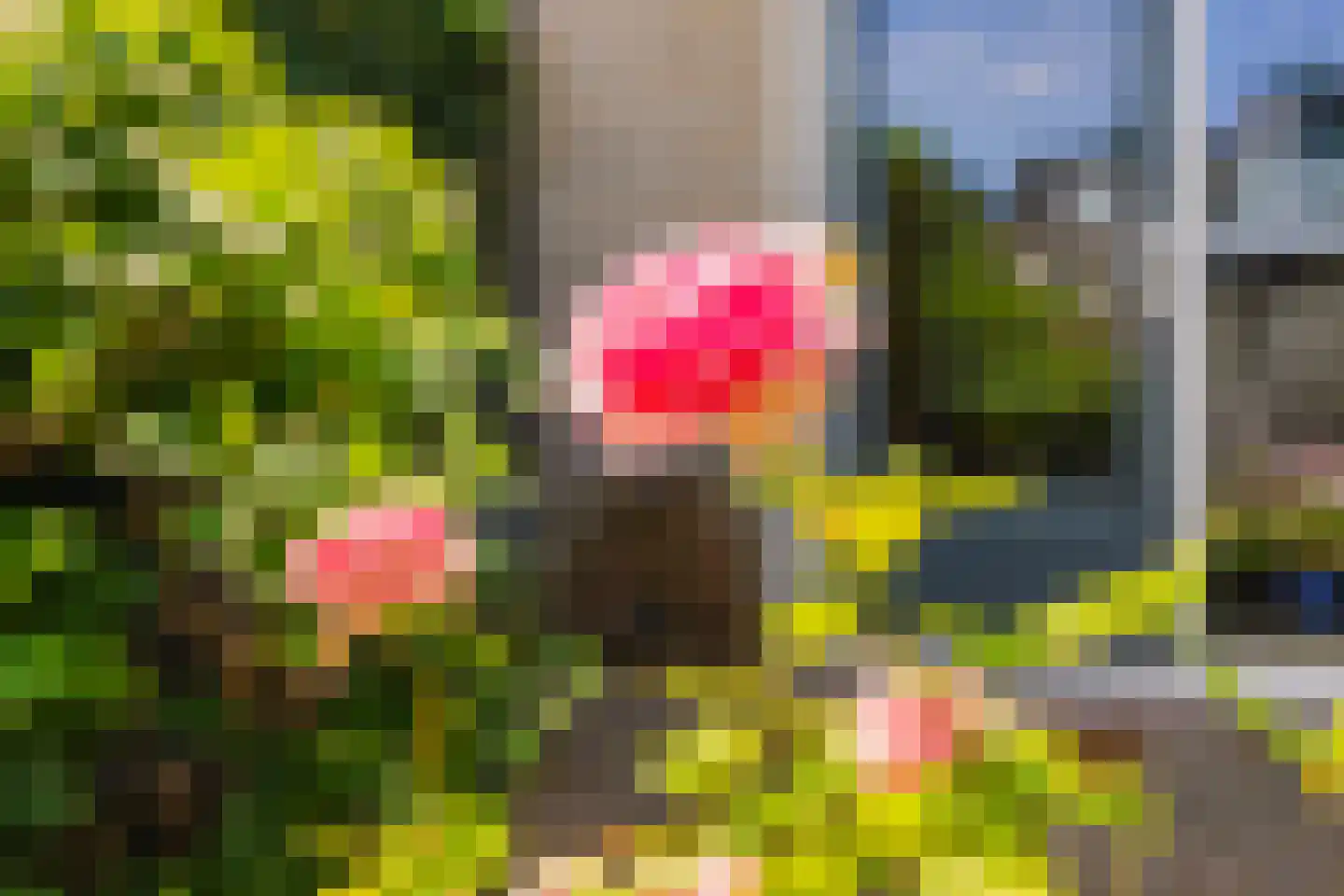 Giebelhof 2 Papendrecht thumbnail 36